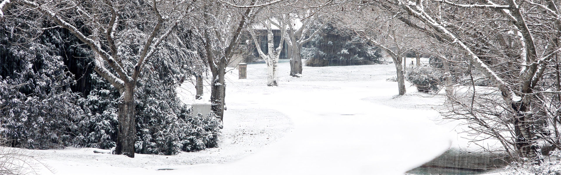 winter